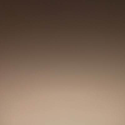 Mojca Janžekovič van Midden